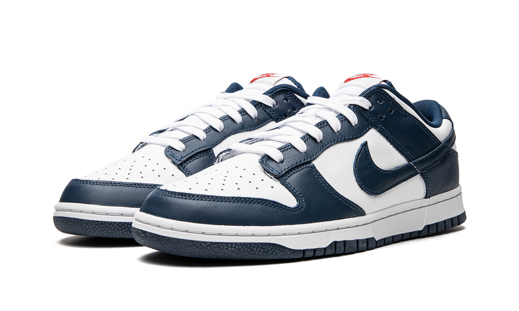 Dunk Low Retro 2