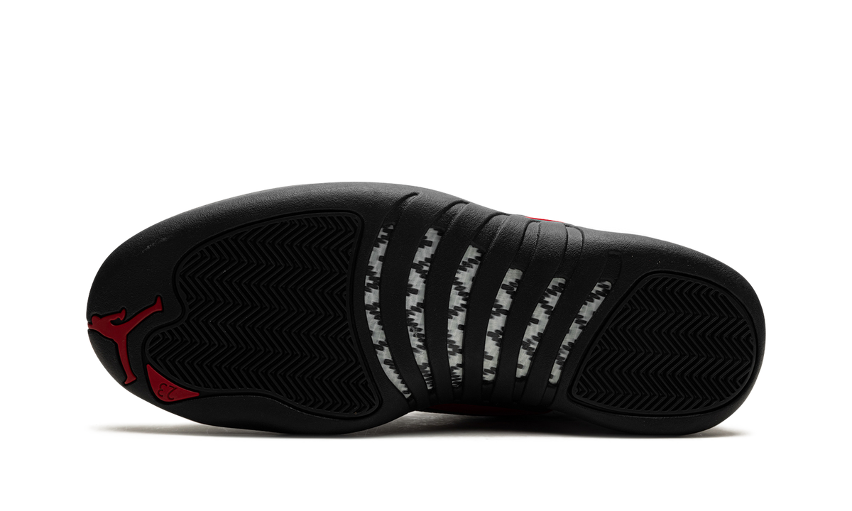 Air Jordan 12 5