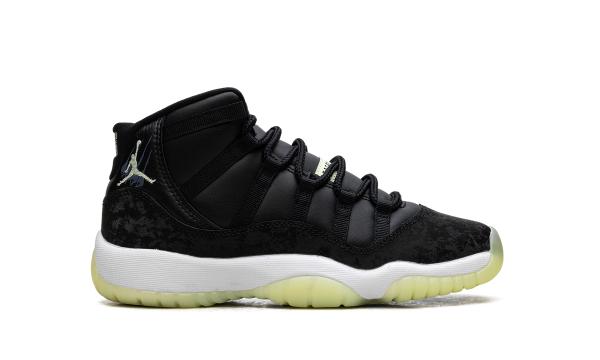 Air Jordan 11 GS 6F