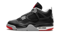 Air Jordan 4 Bred Reimagined FV5029 006