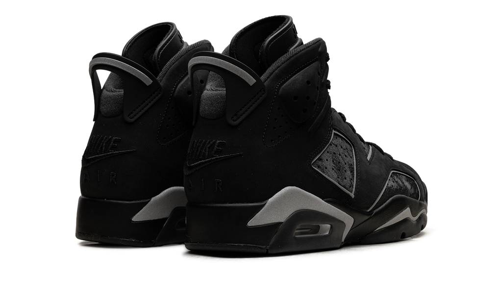 Air Jordan 6 3