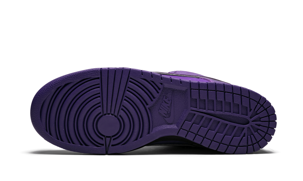 SB Dunk Low Pro OG QS 5