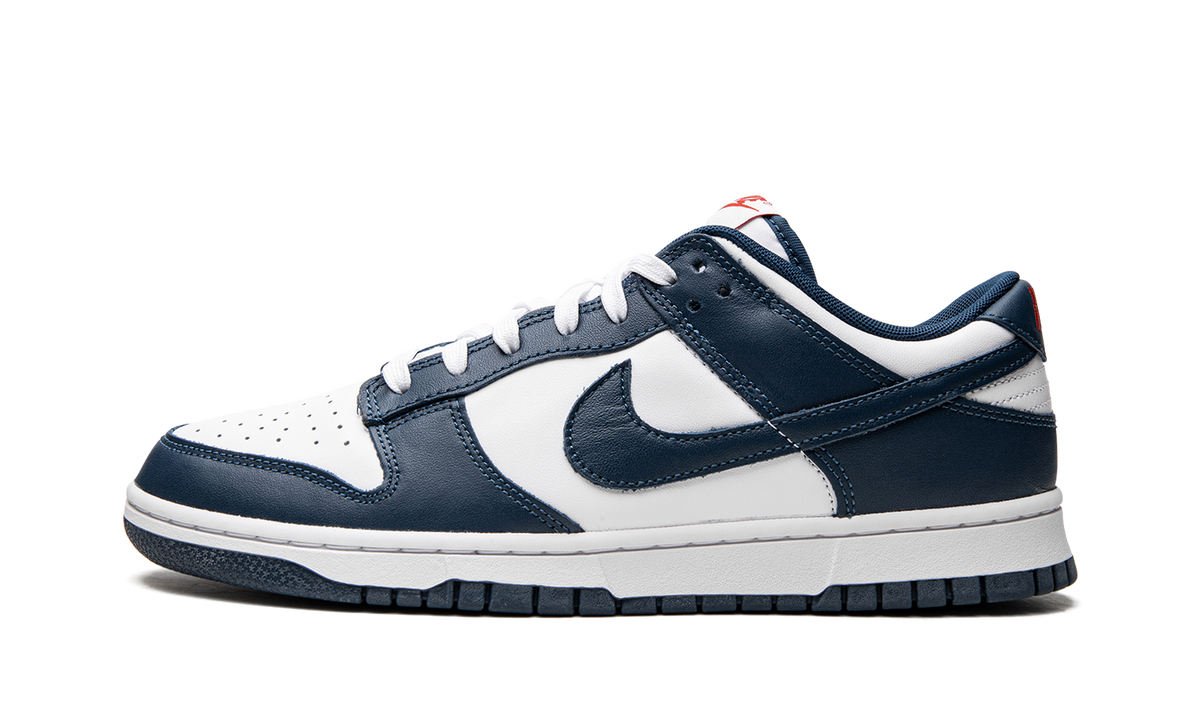 Dunk Low Retro 1